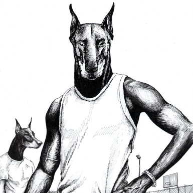 doberman-web